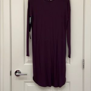 Aritzia Babaton dress